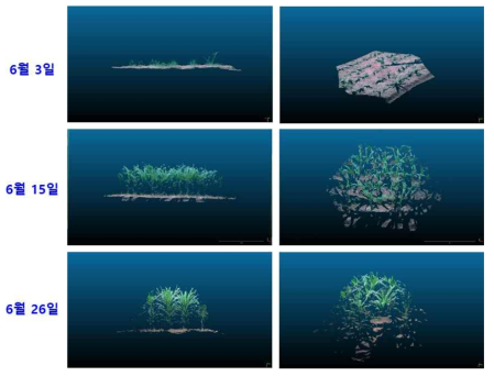 깊이센서와 RGB 영상을 정합한 옥수수의 시기별 생육