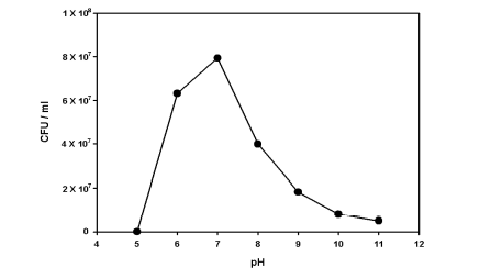 B. thuringiensis 의 pH 조건 확립