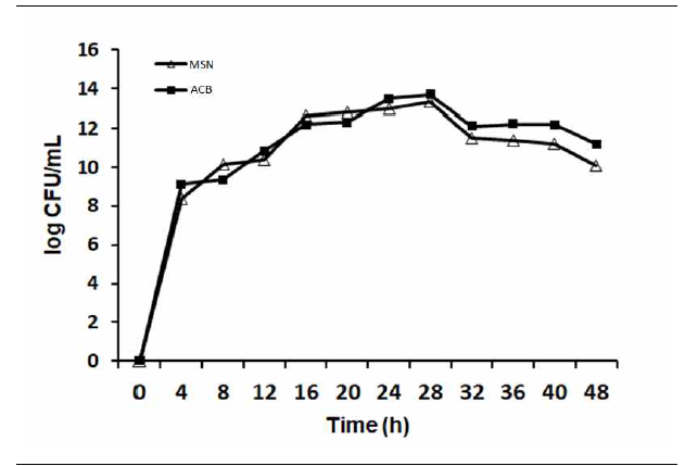 ACB 배지 및 MSN 배지에서 Acinetobacter calcoaceticus 4-2-2의 생균수
