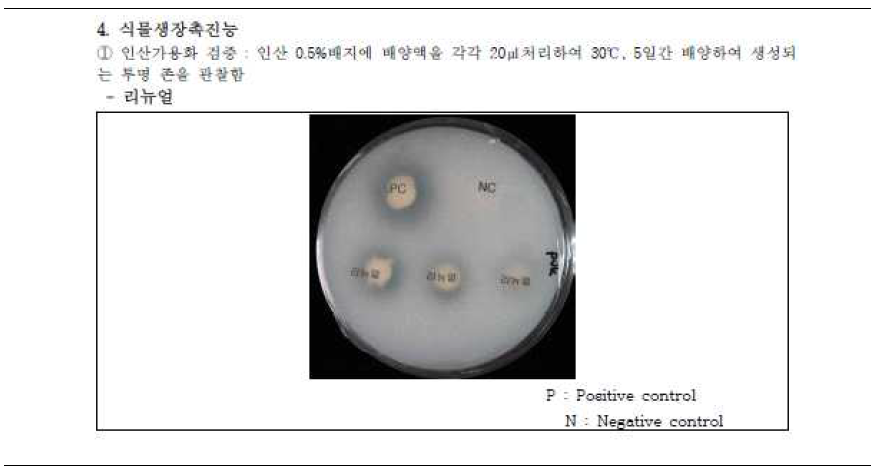 시제품(리뉴얼) 인산 가용화능 분석 결과