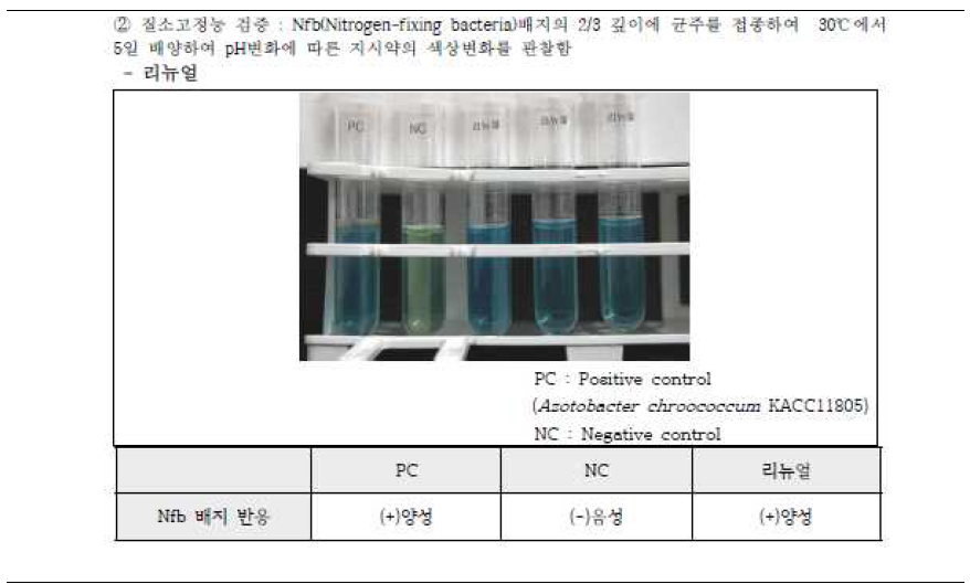 시제품(리뉴얼) 질소 고정능 분석 결과