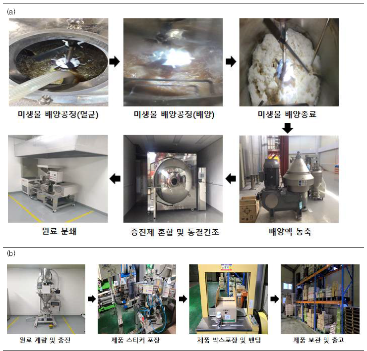 시제품 원료 제조 공정(a) 및 시제품 포장 공정(b)