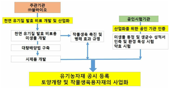 세부 연구개발 공정