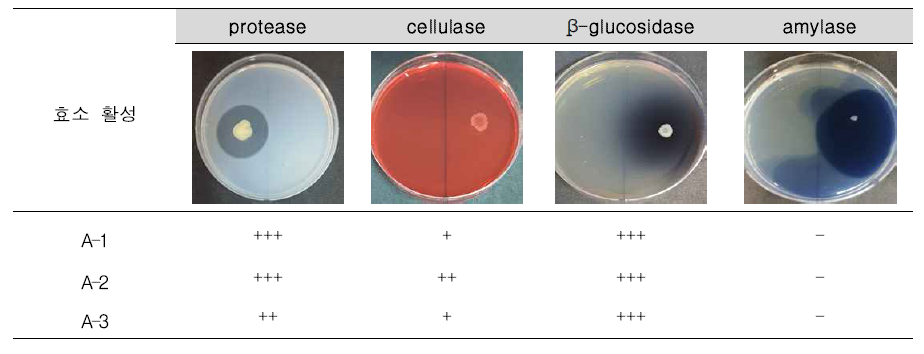 친환경 발효 비료용 미생물 균주의 고분자화합물 분해 효소 생성능