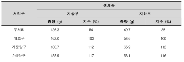 30일 째 무의 지상부, 지하부 생체중 특성