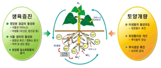 친환경 발효 비료의 작용 모식도