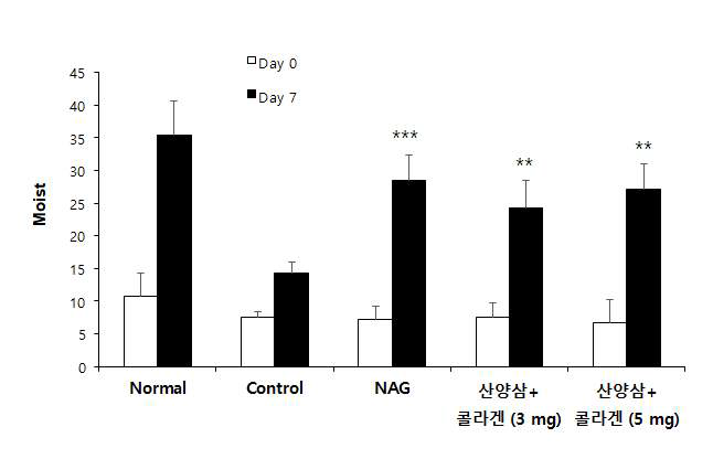 증숙 산양삼 경구투여에 의한 피부 수분활성 증가