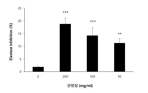 증숙 산양삼의 에라스티나제 억제효과