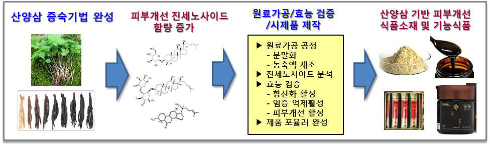 본 연구개발의 개요