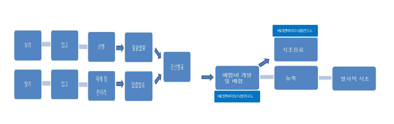 보리 및 딸기의 식초제조 공정도