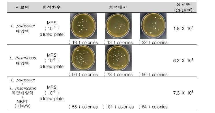 요소억제제(NBPT)와 최우수유산균 혼합시료의 생균수 측정