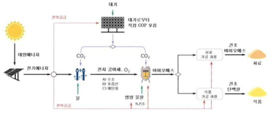 태양전지에서 얻은 에너지로 미생물 단일 세포 단백질(SCP)을 생산하는 과정 출처: PNAS