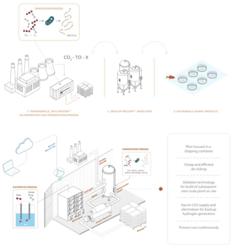 Deep branch의 CO2-to-protein 공정