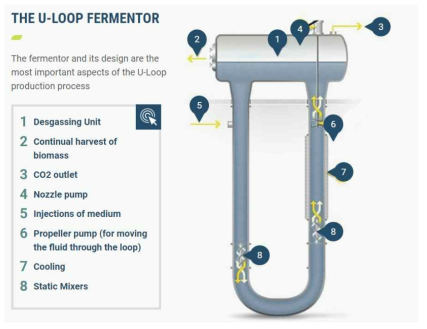 U-Loop 발효기의 공정