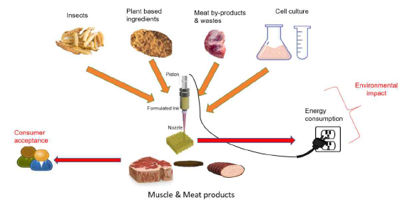 3D 프린팅 대체육 생산 기술 (출처: Hsu와 Jiang, 2019)