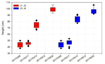 노지 마늘의 생육변화를 파악하기 위한 초장 관측 (2017년 자료)