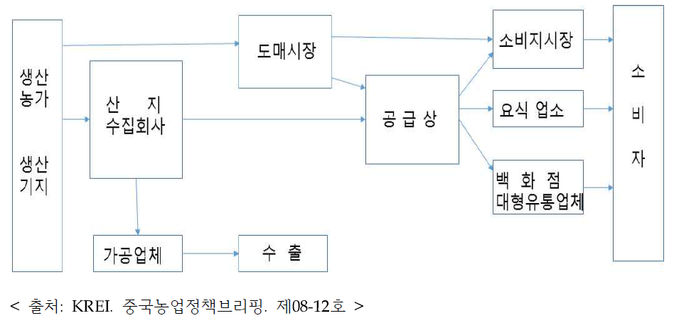 중국의 파프리카 유통경로