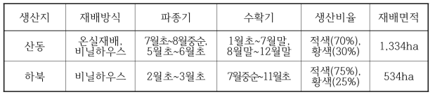 중국 파프리카 재배방식 및 작부