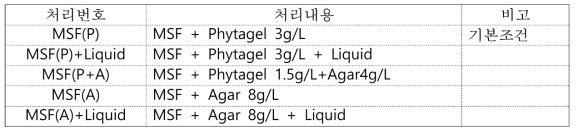 낙지다리 Phytagel과 Agar 비율 및 Liquid에 따른 생육조사 처리