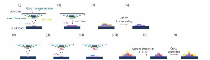 WSe2/InSe 이종적층 소자 제작 과정