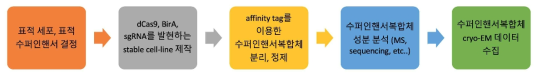 연구 추진 전략