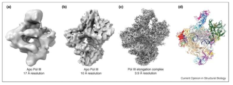 RNA중합효소 cryo-EM 전자밀도 맵. (a) EMDB:1322 (2007년), (b) EMDB:1804 (2010년), (c) EMDB:3178 (2015년), (d) (c) 전자밀도 맵에 모델링한 구조 (PDB:5FJ8)