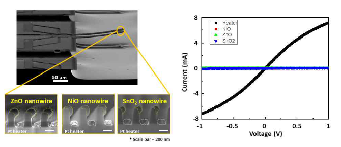 감지 물질과 히터가 집적된 가스 센서의 전자 현미경 사진 및 감지 물질과 히터의 I-V 측정 결과