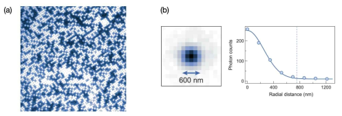(a) 광 격자 내에 분포한 중성원자로부터 방출된 광자를 찍은 사진. (b) 단일 원자 사진을 약 20개 모아 평균을 취한 것으로 대략 600nm의 FWHM을 갖는 가우시안 분포를 확인 할 수 있다. 점선은 광 격자 상수인 750nm를 의미한다