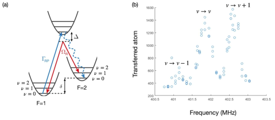 (a) 라만 레이저 냉각 모식도. 원자 전이(붉은색 화살표)는 서로 다른 초 미세 스핀 뿐 아니라 조화 운동 상태를 변경 시킬 수 있도록 한다. 이에 추가로 광 펌핑을 F=1 상태에 맞추면 F=2, v=0의 dark state로 원자들이 남게 되어 냉각이 된다. (b) 광 격자내에 원자들의 라만 분광 스펙트럼. 해당 스펙트럼을 통해 광 격자의 조화 레벨이 대략 1.5 MHz임을 확인 할 수 있었다