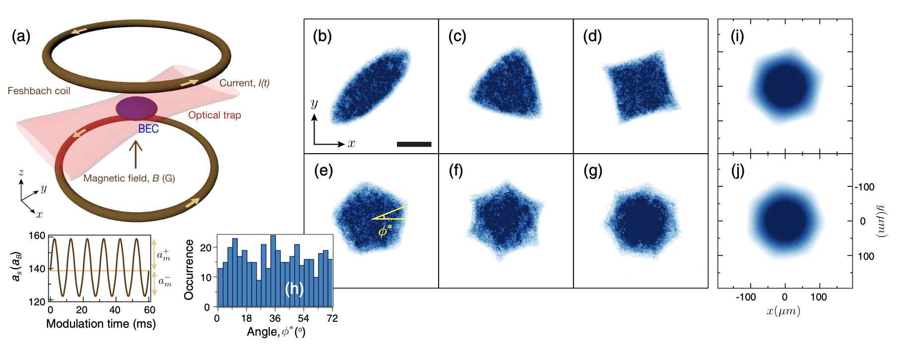 (a) 실험 셋업의 모식도. 극저온 양자 기체는 광트랩과 Feshbach coil에 의해 생성되는 자기장 트랩에 의해 갇혀 있으며, 코일에 흘려주는 전류값에 변조를 가하여 상호작용의 세기를 특정 주파수로 진동 시켜주었다. (b)-(g) 여러 주파수로 변조를 가한이후 원자들의 밀도 분포. (b) 84 Hz, (c) 104 Hz, (d) 119 Hz, (e) 132 Hz, (f) 147 Hz, (g) 161 Hz, 다양한 형태의 패턴이 특정 주파수에서 발현됨을 확인하였으며, (i),(j) 3차원 수치계산을 통해서도 동일한 결과가 관측되었다