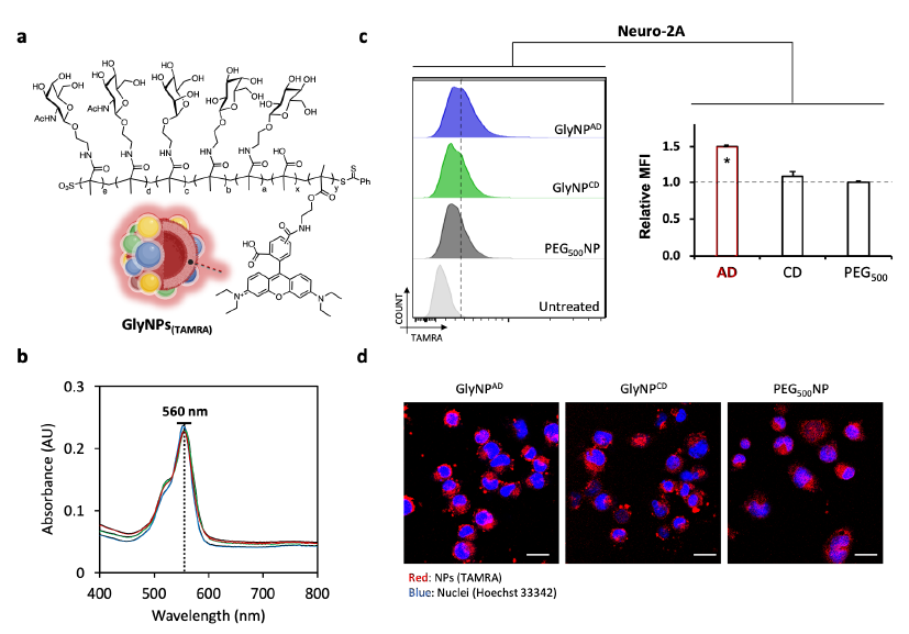 Distinctive uptake of GlyNPAD by Neuro-2a cells demonstrates its potential for CNS-targeted drug delivery