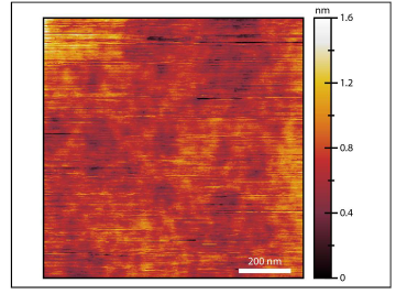 Surface roughness of a monocrystalline gold flake with a rms surface roughness of 158 pm