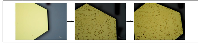 CVD-grown graphene transfer to monocrystalline gold flake: first, the clean flake with deposited AlOx on top; graphene is transferred; and then baked