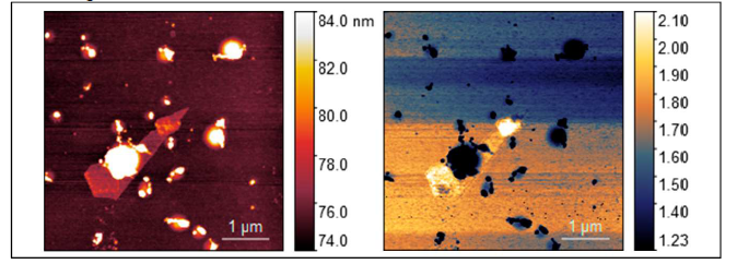 AFM and NSOM measurements (at a frequency of 1200cm-1) of exfoliated undoped graphene on a gold flake