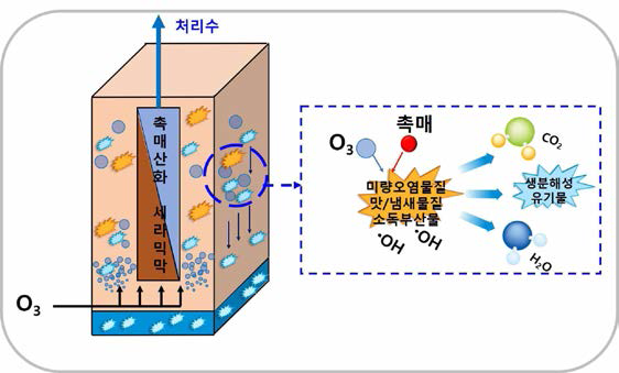 세라믹막-오존촉매산화 융합공정을 이용한 난분해성 미량오염물질 저감 연구