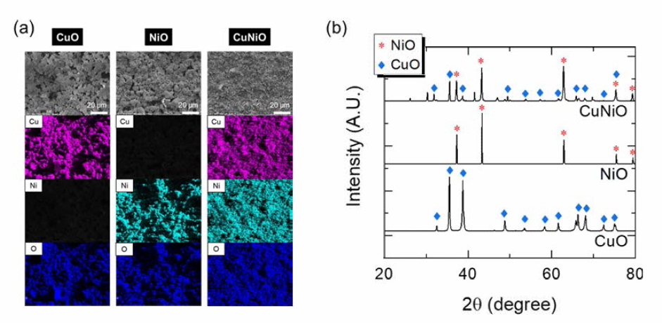 CuO, NiO, CuNiO 촉매의 SEM-EDS 및 XRD patterns 분석 결과