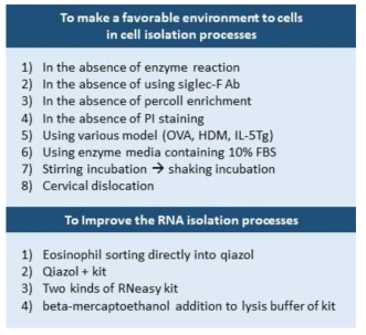 Eosinophil RNA 분리 방법 개선 사항