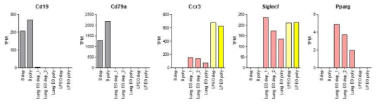 B cell, 소장 eosinophil, 천식을 유도한 폐 eosinophil RNA-seq 분석-특이적 마커 TPM