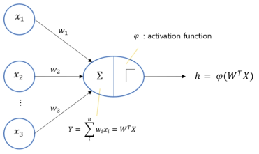 Perceptron structure and calculation process