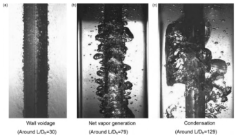 SUBO experiment visual observations along the test section
