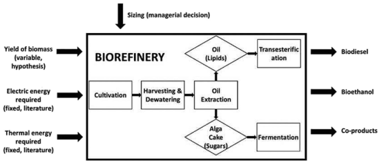 The biorefinery black-box model