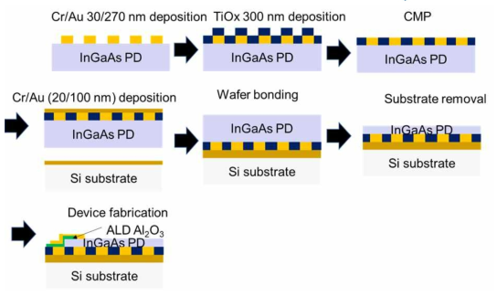 주기구조 상 전사된 InGaAs PD 디바이스 공정도