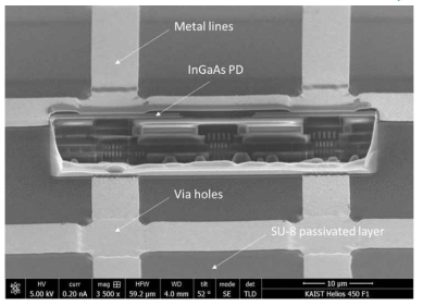 최종적으로 공정을 마친 모놀리식 집적 InGaAs PD
