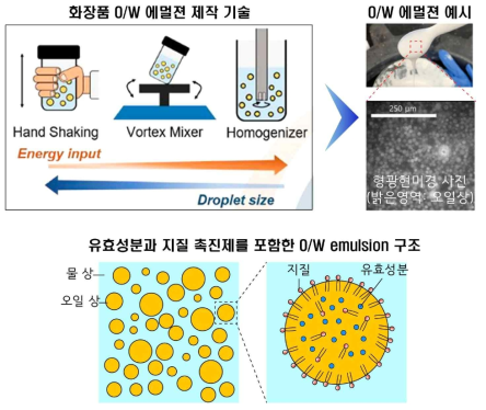 본 연구에서 제작한 화장품 O/W 에멀젼. 소수성 유효성분을 사용할 경우 그림과 같이 오일 상에 들어가 있지만, 니아신아마이드와 같은 친수성 유효성분을 쓰면 물 상에 녹아있게 됨