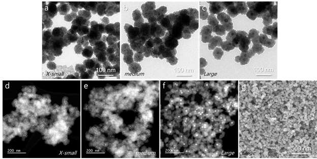 (a-c) 제작된 백금@세륨산화물의 투과전자현미경 이미지와 (d-f) 스캐닝 투과전자현미경 이미지 및 (g) 주사전자현미경 이미지