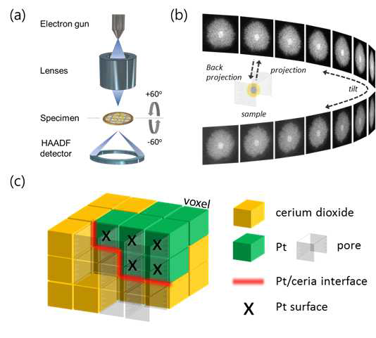 3차원 전자단층촬영분석 기법 과정을 나타낸 그림. (a) 담지된 샘플의 틸트과정을 묘사한 그림. (b) 각도별 샘플의 2차원 프로젝션 이미지 투영과정 그림. (c) 핵심반응지점을 정의하기 위해 각 복셀(voxel)의 접합 지점에 따른 3상 접합지점(붉은선) 및 2상 접합지점(엑스표시)을 나타내는 그림