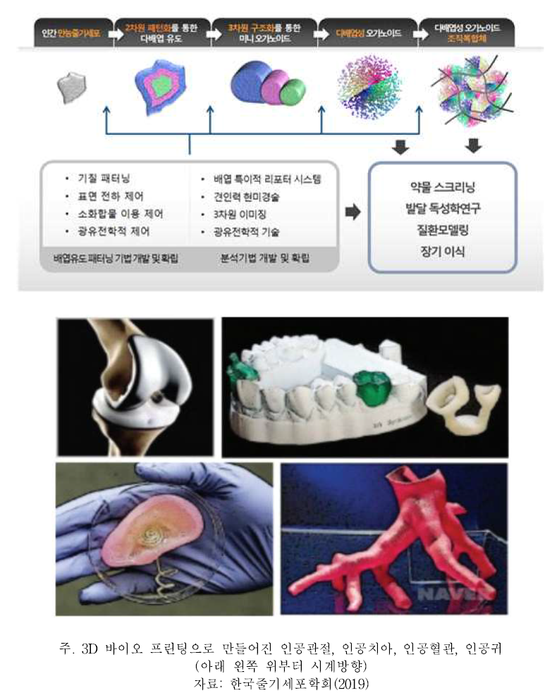 인공장기 생성 원리와 다양한 형태의 인공장기들