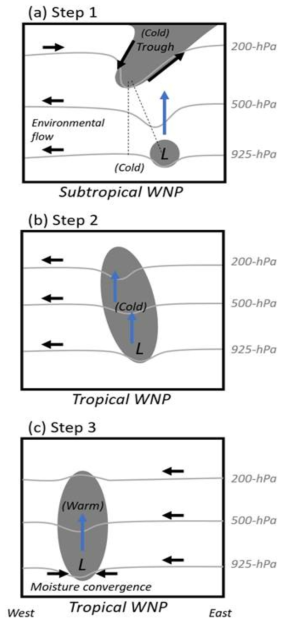 북서 태평양에서 열대 전이를 통한 PEIPAH 형성의 개략도. 짙은 회색 음영과 회색 선은 각각 cyclonic 순환과 지오퍼텐셜 높이 아노말리를 나타낸다. 검은색 화살표는 흐름 방향이고 파란색 화살표는 대류 상승 방향이다. (a) 1단계: 아열대 상층 골에 의해 유발된 준지균 상승을 통한 하층 대류권 저기압의 발생. (b) 2 단계: 1단계 이후 한랭핵 아열대 요란이 일어나고 또 다른 준지균 상승이 발생한다. (c) 3 단계: 평균흐름에서 순압성 에너지를 얻음으로써 에디 운동 에너지가 증가함에 다라 열대 지역에 대한 하층 대류권 수분 수렴에 의한 열대 저기압 (열대 저압부의 강도로)의 형성