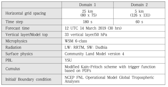 Summary of the WRF model configuration