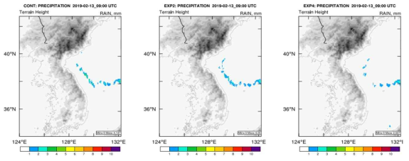 Precipitation of CONT, EXP2, and EXP4 at 2019-02-13 09 UTC